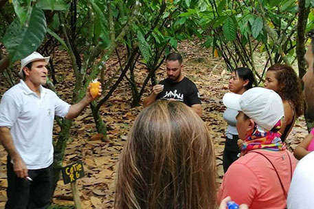 Chocolate Tour Experience